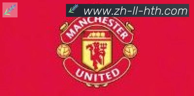 华体会官方网站登录入口合作伙伴