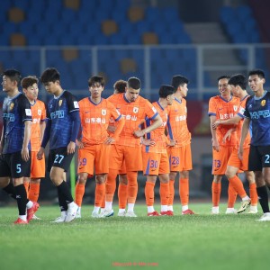 华体会hth-法甲外援竞技表现回顾及其对球队竞争力的贡献